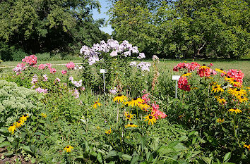 Staudengarten Freundschaftsinsel in Potsdam