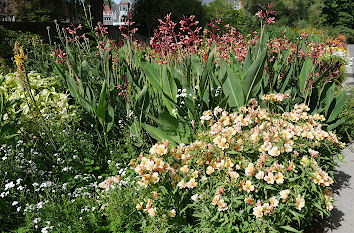 Blumen im Park im Saarland