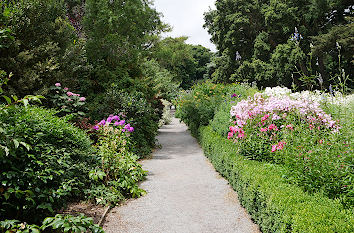 Blumen im Park in Niedersachsen