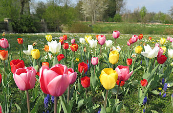 Blumen und Osterfeiertage