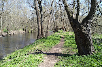 Ostern mit Weg und Weiden am Fluss