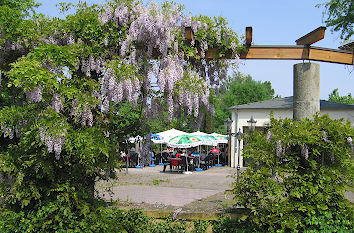 Kirschblüte und Pfingstfeiertage