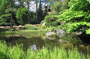 Teich im Park zu Pfingsten