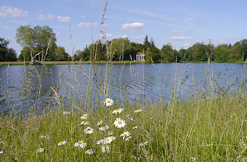 Pfingsten mit Weg und Weiden am Fluss