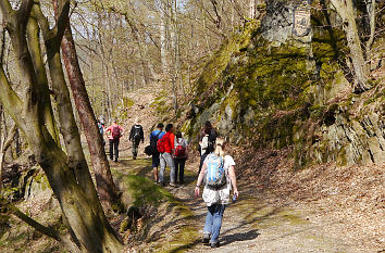 Wandern im Thüringer Wald