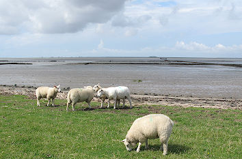 Westerland auf Sylt