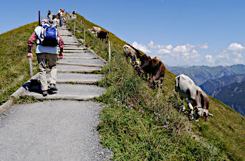 Wandern in den Alpen