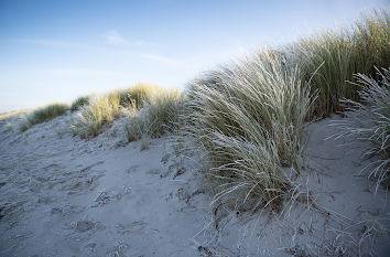 Düne im Winter