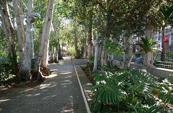 Arucas Gran Canaria