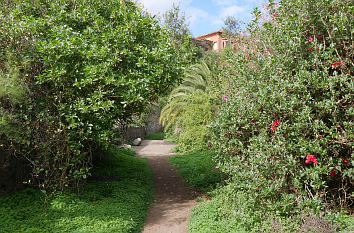 Barranco de Santa Brígida auf Gran Canaria