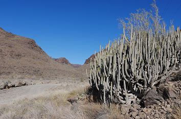 Barranco de Fataga