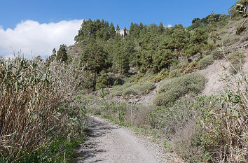 Barranco Guiniguada auf Gran Canaria