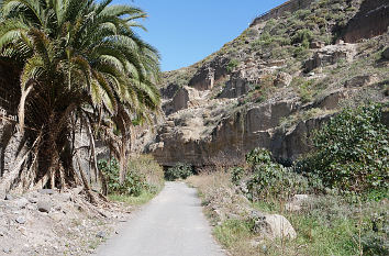 Barranco Guiniguada auf Gran Canaria