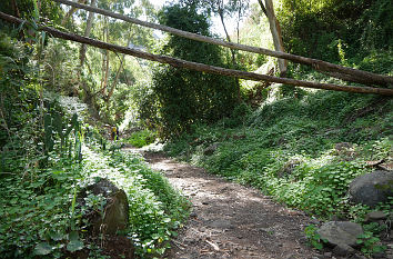 Barranco de Ojero auf Gran Canaria