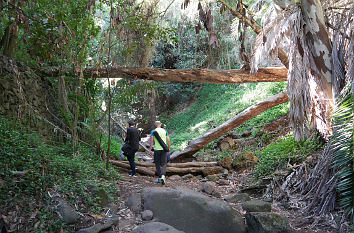 Barranco de Ojero auf Gran Canaria