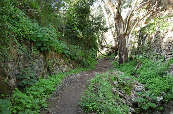 Barranco de Ojero auf Gran Canaria