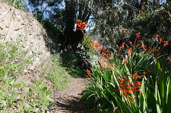 Barranco de Ojero auf Gran Canaria