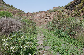 Barranco de Tenoya auf Gran Canaria