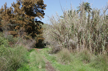 Barranco de Tenoya auf Gran Canaria