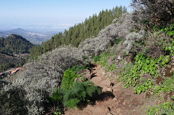 Bergwelt auf Gran Canaria