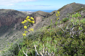 Caldera de Bandama auf Gran Canaria