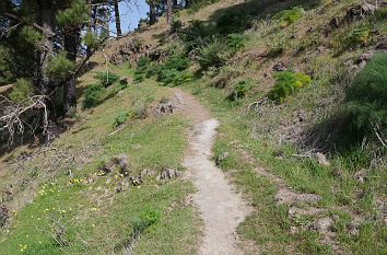 Wanderweg am Cruz de Tejeda auf Gran Canaria