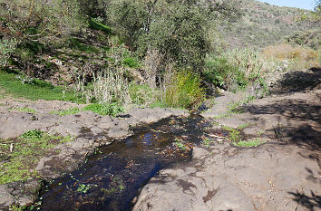 Barranco Los Certicalos (Turmfalkenschlucht) auf Gran Canaria