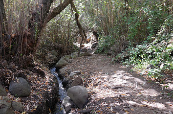 Barranco Los Certicalos (Turmfalkenschlucht) auf Gran Canaria