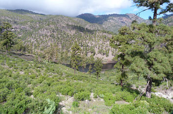 Berge bei Mogán