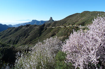 Berglandschaft mit Roque Bentayga auf Gran Canaria