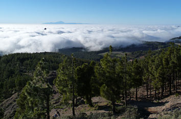 Pico de las Nieves auf Gran Canaria