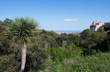 Natur auf Gran Canaria