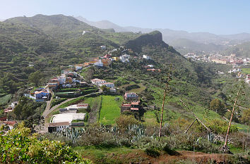 Wanderweg Santa Brígida nach Vega de San Mateo