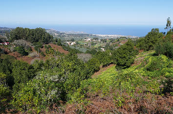 Natur auf Gran Canaria