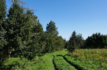 Natur auf Gran Canaria