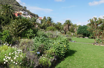 Jardín Canario auf Gran Canaria