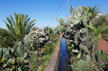 Wasserkanal bei Firgas auf Gran Canaria