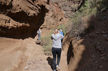 Wanderweg Barranco de Anna Guerra