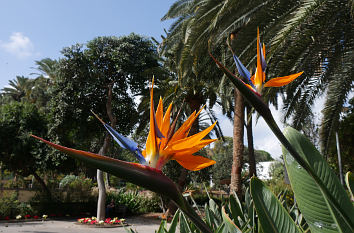 Park am Hotel Santa Catalina in Las Palmas de Gran Canaria