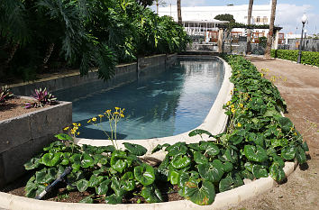 Park am Hotel Santa Catalina in Las Palmas de Gran Canaria