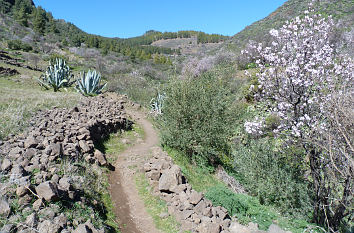 Wanderweg im Barranco de Guayadeque