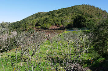 Pico de Osorio auf Gran Canaria