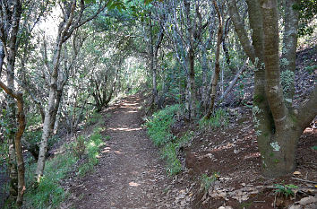 Pico de Osorio auf Gran Canaria