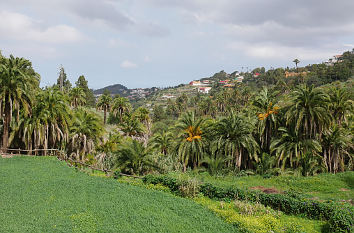 Finca el Galéon und Palmenhain Satautejo in Santa Brígida auf Gran Canaria