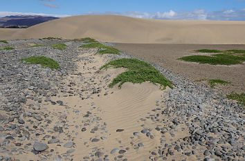 Dünen Maspalomas