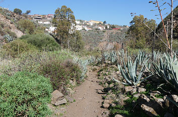 Wanderweg auf Gran Canaria