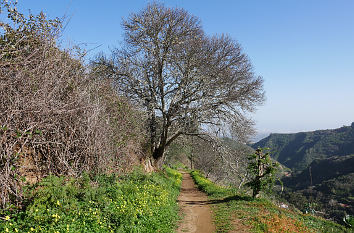 Wanderweg auf Gran Canaria