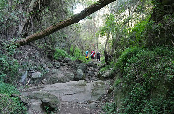 Wanderweg auf Gran Canaria