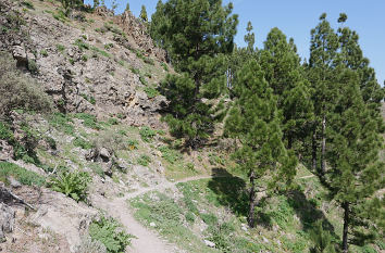 Wanderweg Cruz de Tejeda Artenara auf Gran Canaria