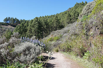 Wanderweg auf Gran Canaria